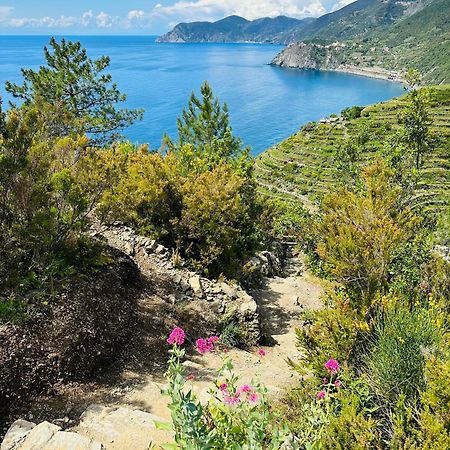 Al Castello Lägenhet Riomaggiore Exteriör bild